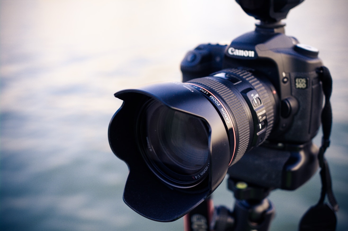 Top 10 Tips for Beginner Photographers